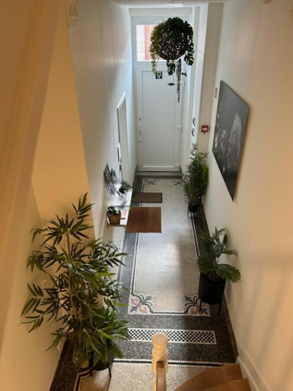 Les Gites Du Palais Ντινάντ Εξωτερικό φωτογραφία